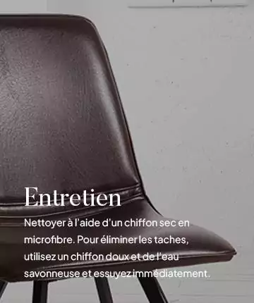 Entretien simili cuir